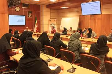 کارگاه استاندارد خدمات توانبخشی